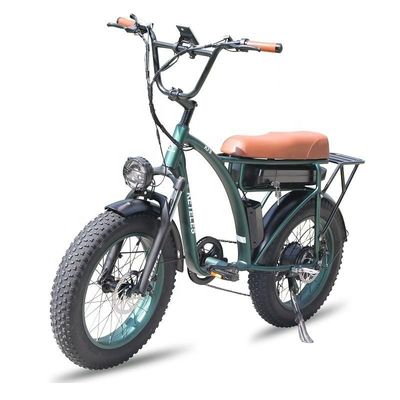 23AH Pil Kapasitesi 1000W 2000W Motor 20 inç Fat Bike Elektrikli Bisiklet Özel Destek