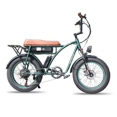 23AH Pil Kapasitesi 1000W 2000W Motor 20 inç Fat Bike Elektrikli Bisiklet Özel Destek