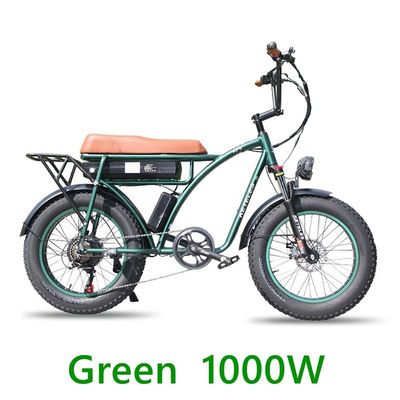 Mekanik Disk Fren ve Güçlü Motorlu 48V 23Ah Lityum Pil Elektrikli Bisiklet