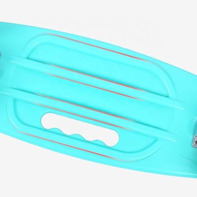 Flat-Plat Elden Küçük Balık Taşıma Tahta Çaplı Skateboard Dört Tekerlekli Flaş Hareketlilik Scooter Çocuklar ve Kızlar İçin