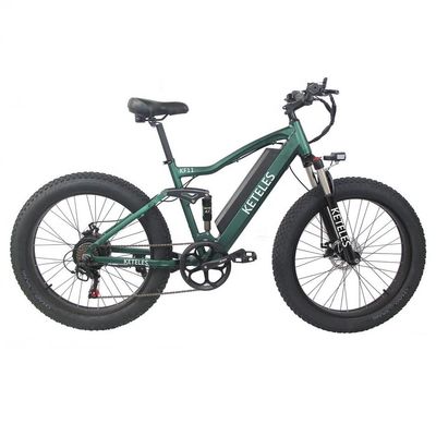 Alüminyum Alaşım Çerçeve 48V 13AH Lityum Pil Yağ Lastik 1000W Motorlu Elektrikli Bisiklet
