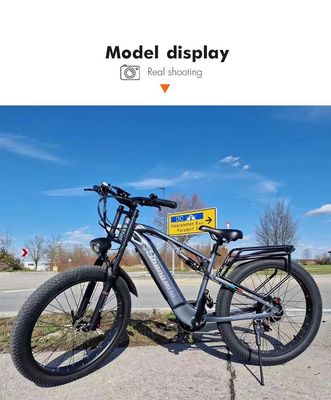 ABD AB Depo F2 Disk frenli ve 36v 250w motor gücü olan yetişkin elektrikli motosiklet
