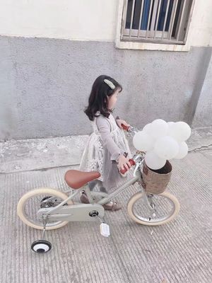 Alloy Rim INS Stili 16 Inch Retro Çocuk Bisikleti 4-8 Yaşındaki Çocuklar İçin Tek Hızlı