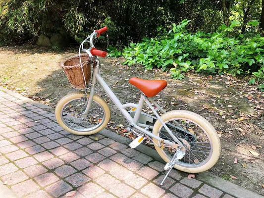 Alloy Rim INS Stili 16 Inch Retro Çocuk Bisikleti 4-8 Yaşındaki Çocuklar İçin Tek Hızlı