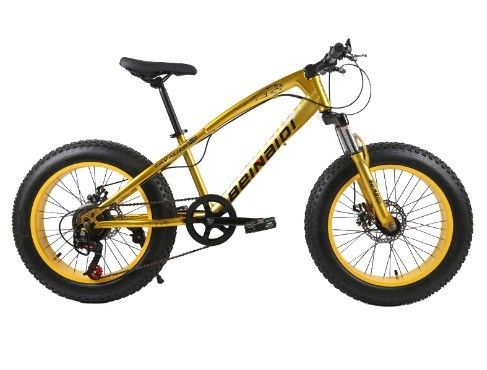 20 Inch Çocuk Plaj Kar Bisikleti 4.0 Fat Tire 7/21/24/27 Hızlı Dağ Bisikleti